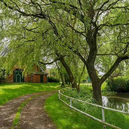 Lehmberg Am Bauerngarten * Rathlau
