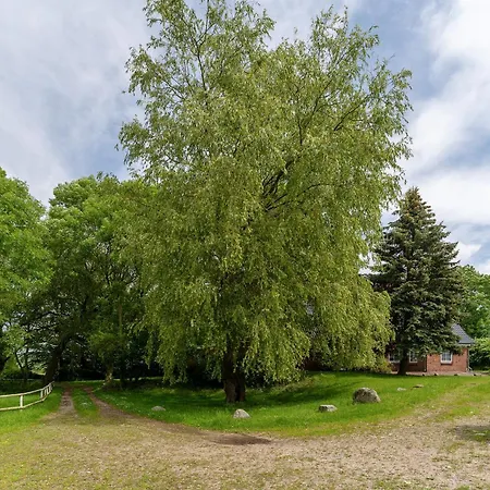 Lägenhet Lehmberg Am Bauerngarten Rathlau